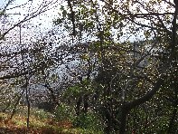 nte Fontane-201011128 034